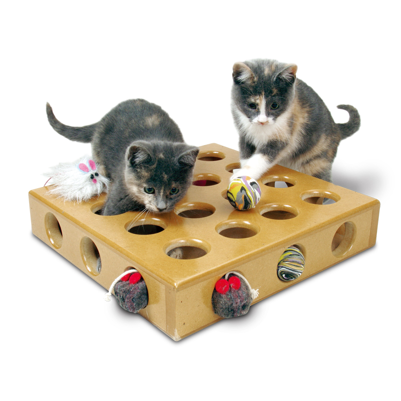SmartCat Peek-a-Prize Toy Box
