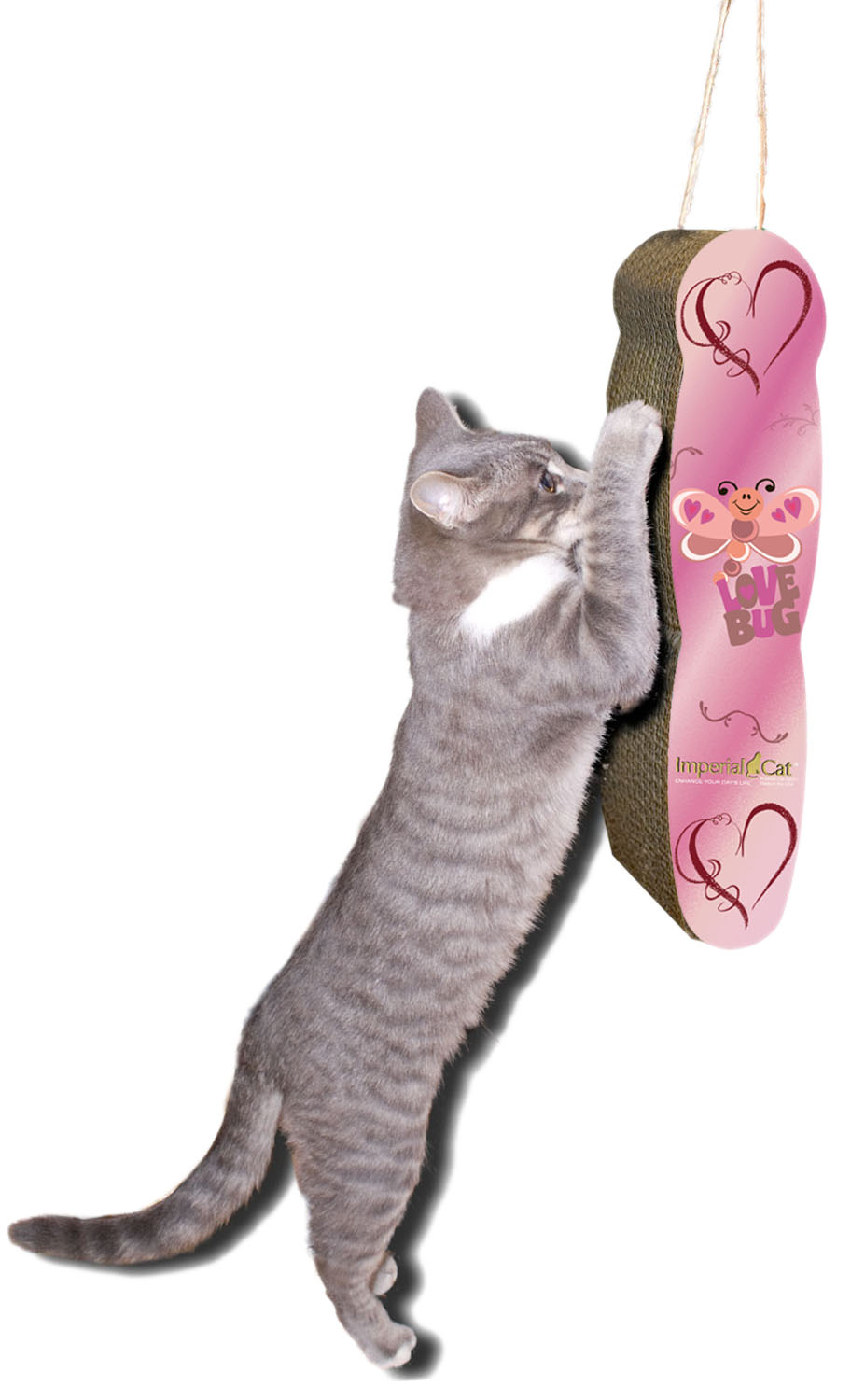 Imperial Cat Hanging Valentines Love Bug - Click Image to Close